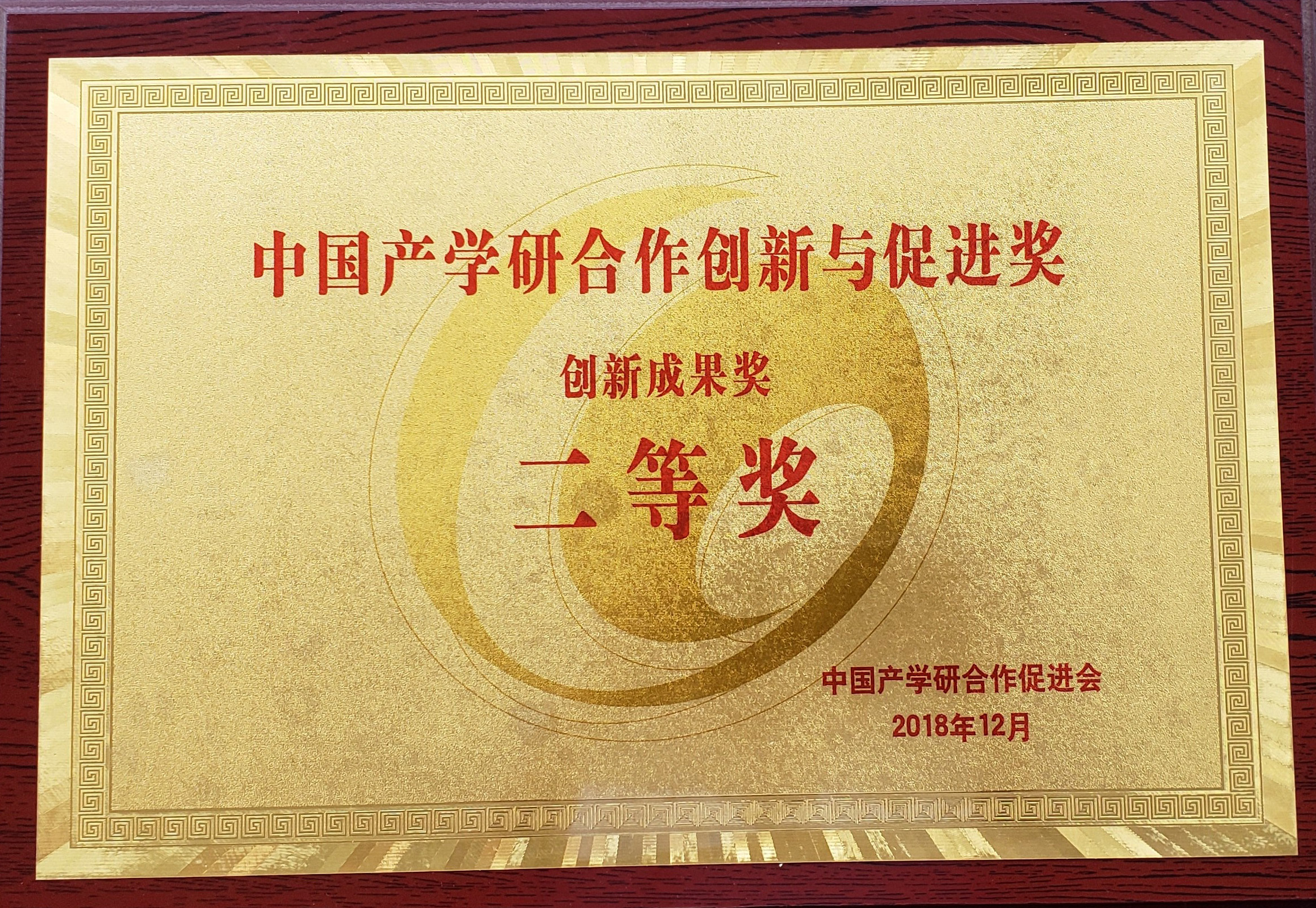 2018年中国产学研相助立异与增进奖立异结果奖二等奖